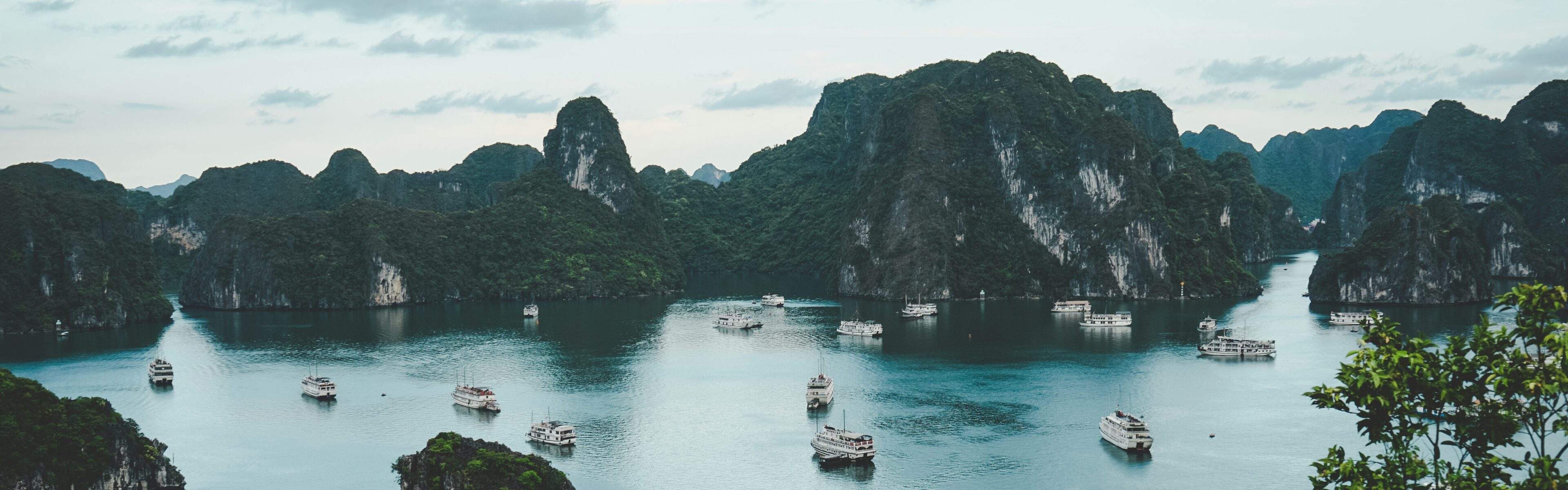 Overseas Vietnamese Desk