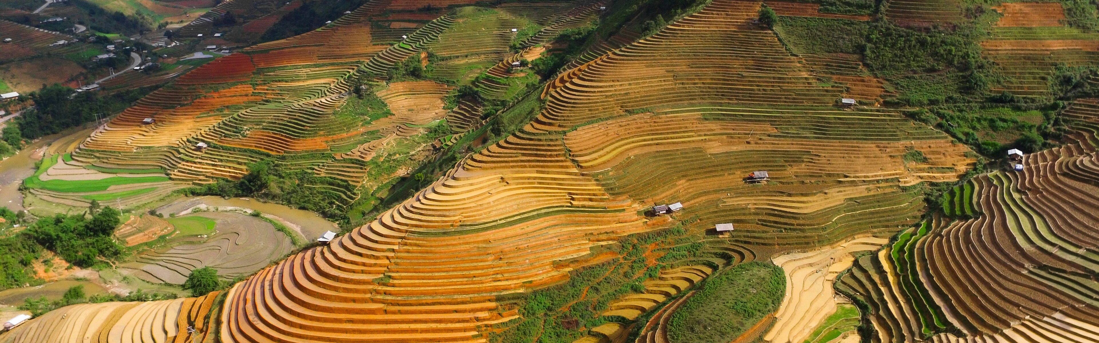 Dịch vụ pháp lý toàn diện