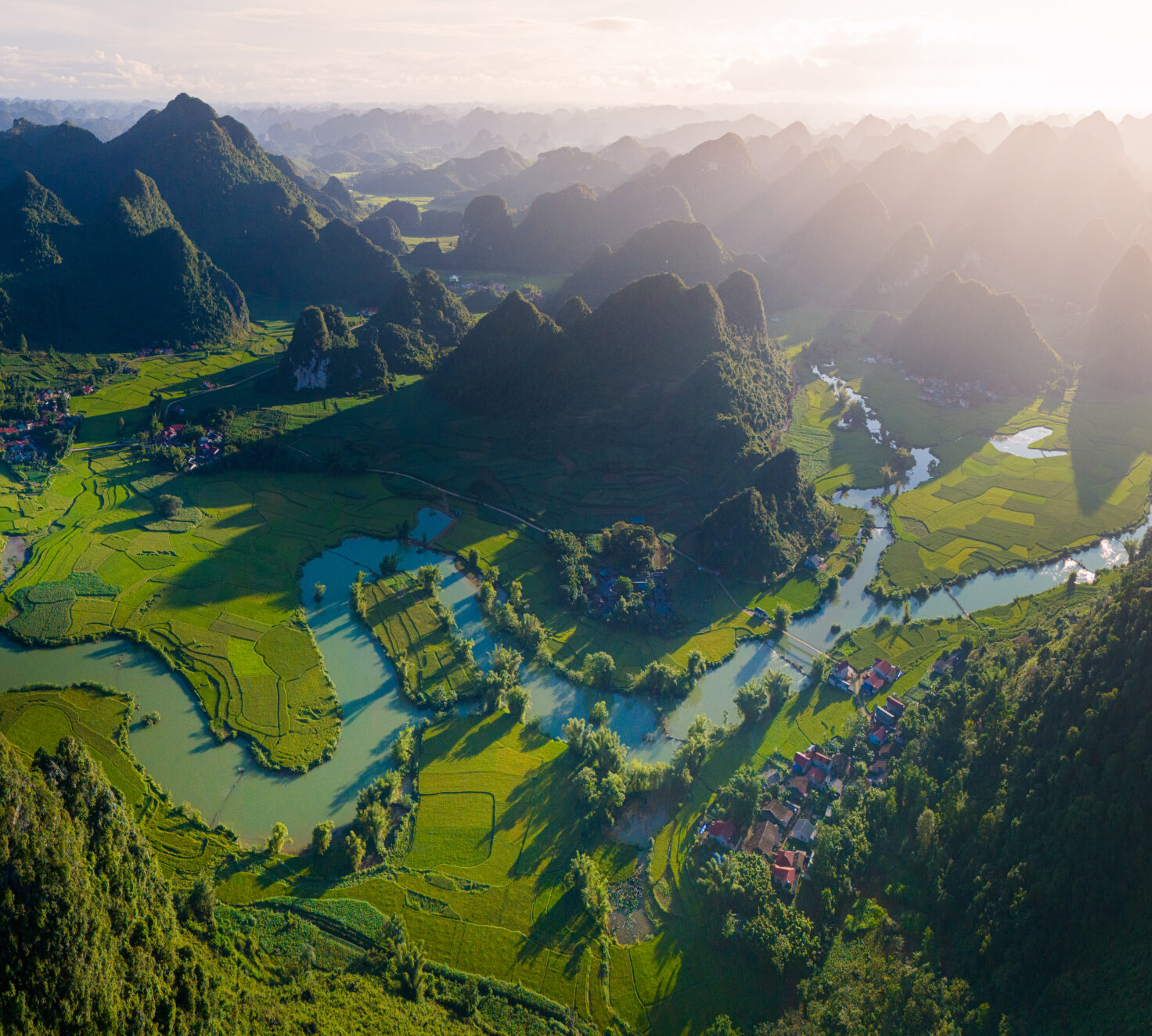 Giới thiệu Vilasia