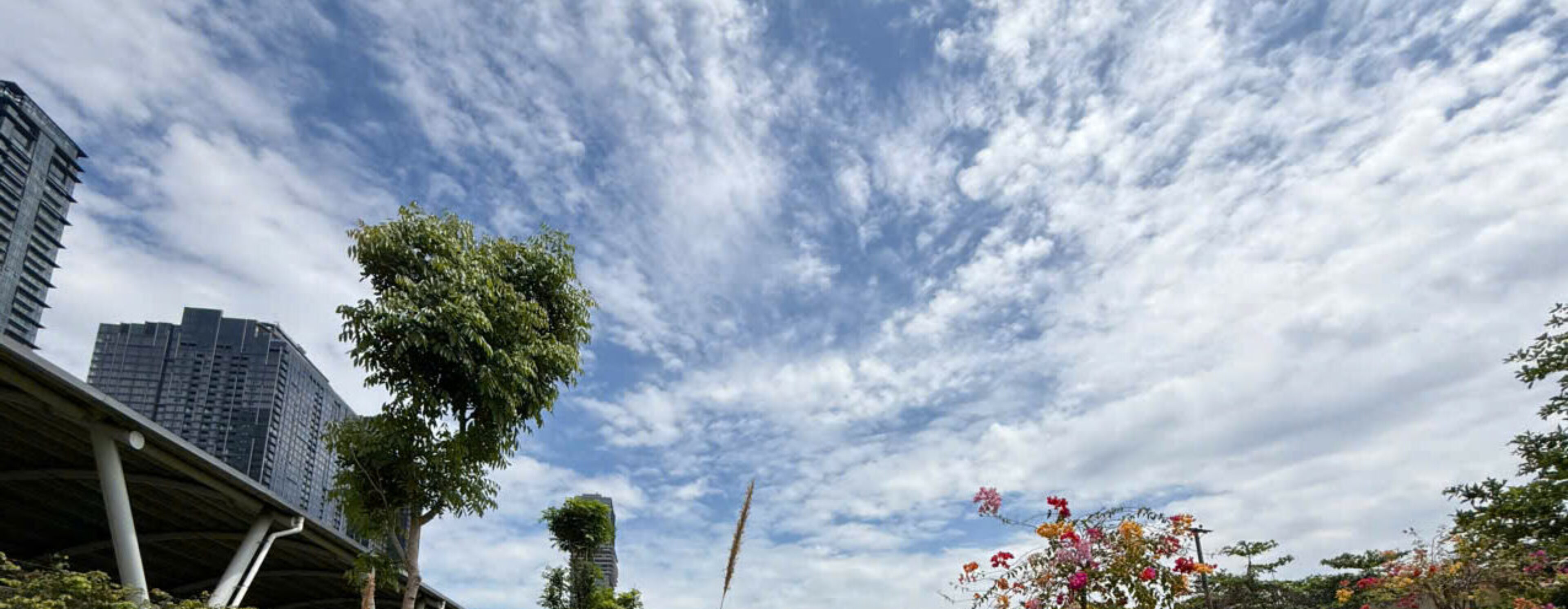 Chia sẻ trí tuệ, gặt hái thành công